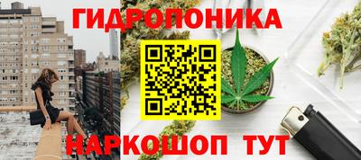 тгк Пушкино